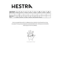 Hestra-Gloves-1.jpg