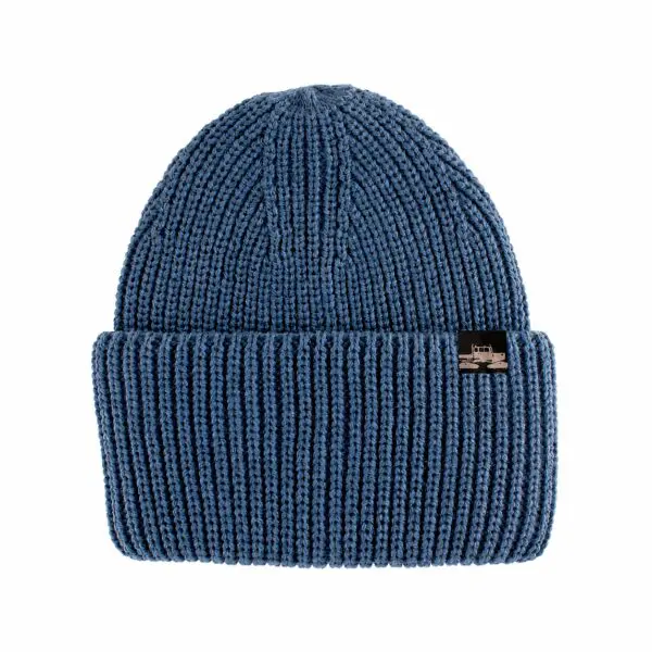 Spacecraft Fjord Beanie - Blue