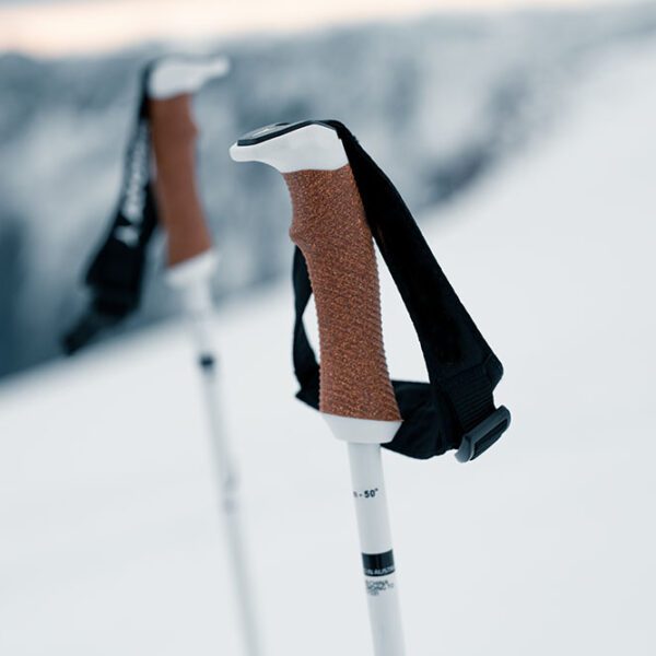 Ski Poles