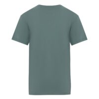 Planks-Organic-Short-Sleeve-T-Shirt-Sage-Green-Back.jpg