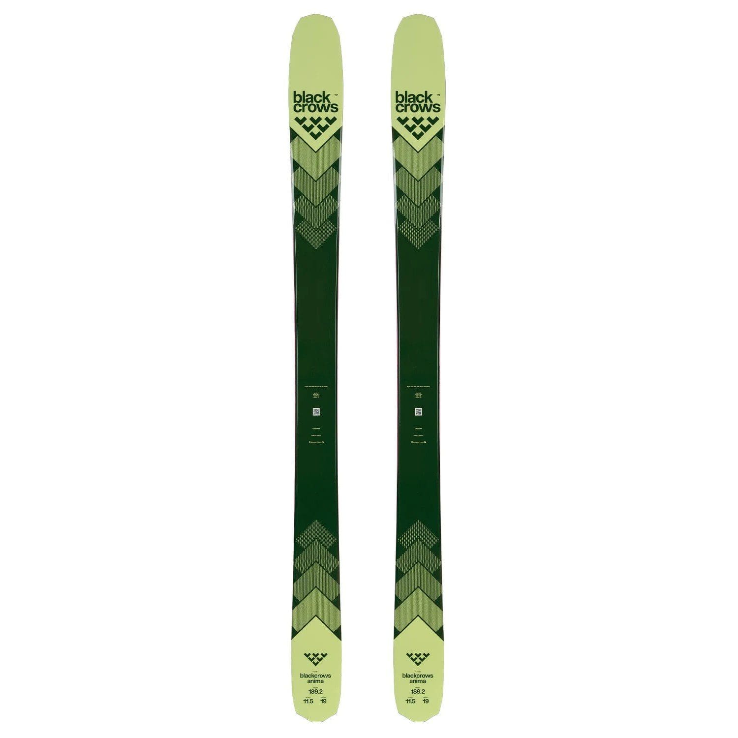 Black Crows Anima (2025/2026) | Gnomes - The Ski Experts