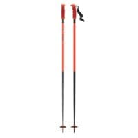 Atomic-Redster-Pole.jpg