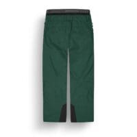 Picture-Object-Pant-Ponderosa-Pine-2-1.jpg